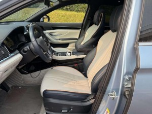 BYD Song PLUS DM