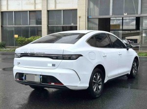 BYD Destroyer 05