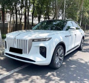 Hongqi E-HS9