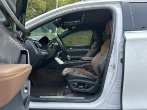 BYD Tang DM