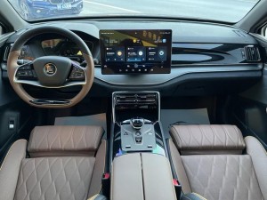 BYD Tang DM