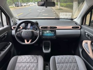 Leapmotor Zero running T03