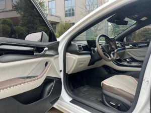 BYD Qin PLUS EV