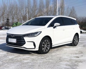 BYD Song MAX DM