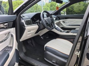 BYD Song PLUS EV