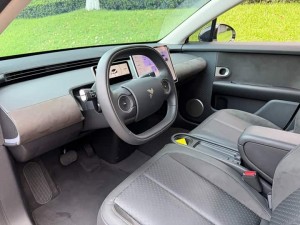 NIO Firefly