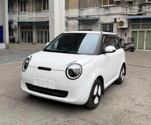 Changan Lumin