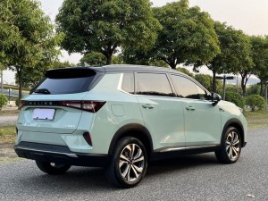 Wuling Asta (Star)