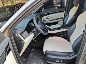 BYD Song PLUS DM