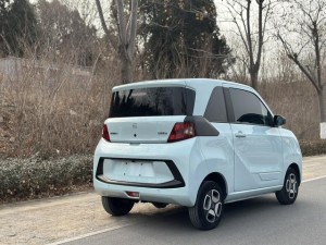 Dongfeng Scenery MINIEV