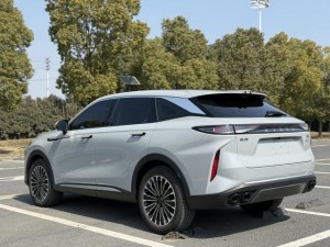 Exeed RX (Star road yaoguang)