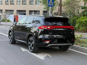 BYD Tang DM