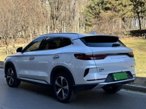 BYD Song PLUS DM