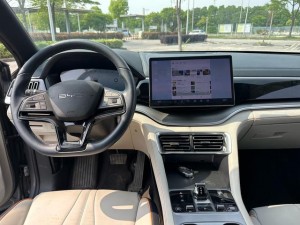 BYD Song PLUS DM