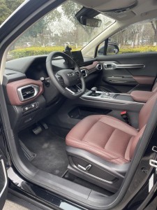 Geely Okavango