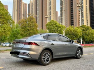 BYD Qin PLUS DM