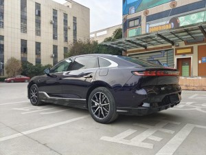 Voyah Passion PHEV