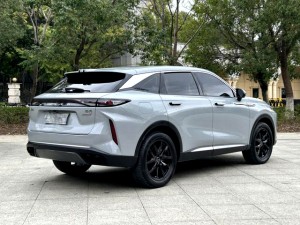 Exeed RX (Star road yaoguang)