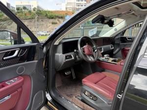 Hongqi E-HS9