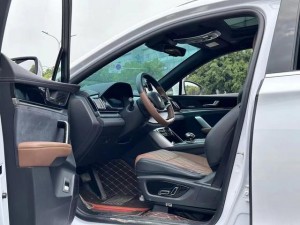 BYD Tang DM