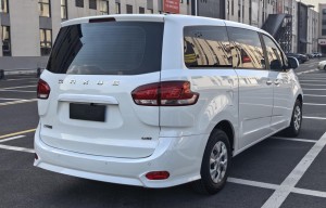 Maxus G10