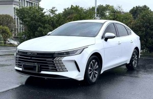 BYD Destroyer 05