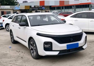 Baojun Valli