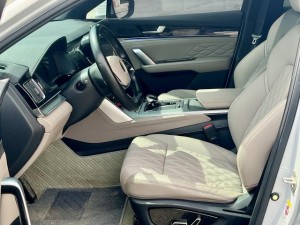 BYD Tang DM