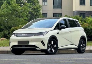 BYD Dolphin
