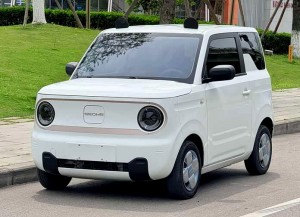 Geely Panda
