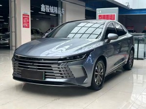 BYD Destroyer 05