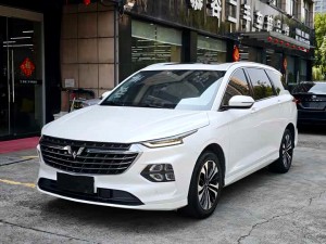 Wuling Capgemini Victory
