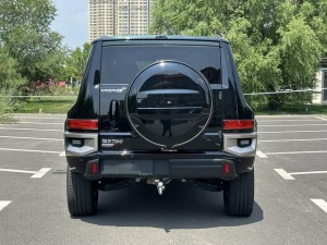 Tank 700 Hi4-T