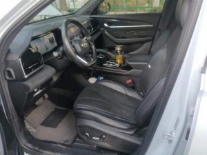Geely Monjaro (Xingyue L)
