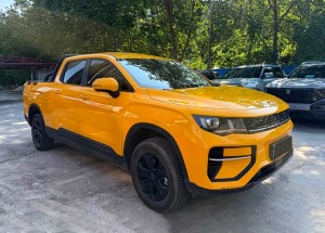 Geely Radar King Kong PHEV