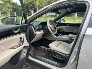 BYD Tang DM