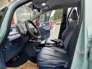 Geely Geometry E Firefly