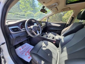 BYD Song MAX DM