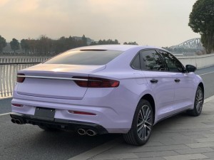 Geely Preface (Xing Rui)