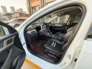 BYD Qin Pro
