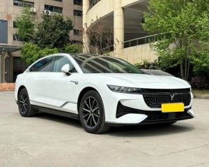 Voyah Passion PHEV