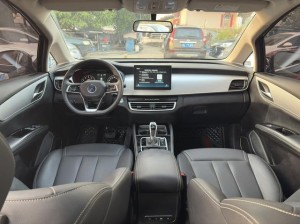 BYD Song MAX DM