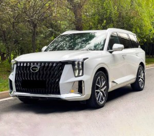 GAC Trumpchi GS8