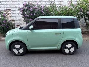 Changan Lumin