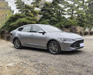 BYD Qin PLUS DM