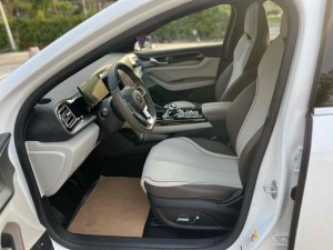 BYD Qin PLUS DM