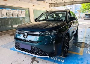 Volkswagen Tavendor