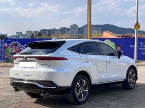 Toyota Venza (Wei Sa)
