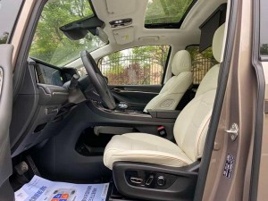 GAC Trumpchi E9 PHEV