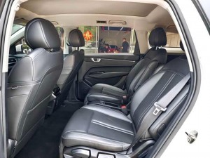 Wuling Capgemini Victory